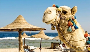 Туры в солнечный Египет по хорошим ценам - Изображение #1, Объявление #1493150