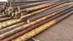 столбы деревянные для  ЛЭП и связи