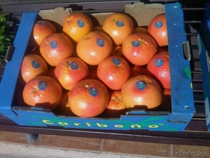 Грейпфрут Pomelo из Испании - Изображение #2, Объявление #1492703