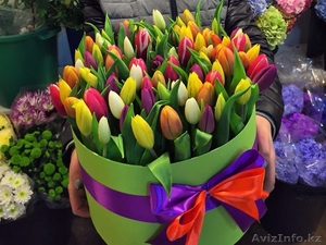 луковицы тюльпанов для выгонки к 8 Марта - Изображение #1, Объявление #1486956