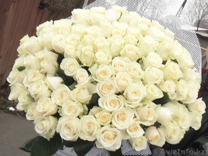 Букет из 101 белой розы - Изображение #1, Объявление #1194087