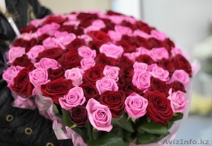 Букет из  101 розы розового и красного цвета 50 см - Изображение #1, Объявление #1191427