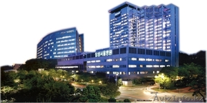 Обследование и лечение в Южной Корее с компанией StenLee  - Изображение #4, Объявление #1502321
