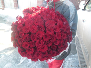 Букет 101 красная роза 50 см в красивом оформлении с бесплатной доставкой Алматы - Изображение #2, Объявление #1505389