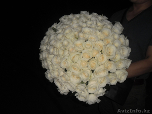 Букет 101 роза белая 50 см - Изображение #1, Объявление #1508290