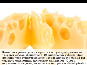 Оборудование для производства твердого сыра можно приобре­сти  от uzmolreki  - Изображение #3, Объявление #1516687
