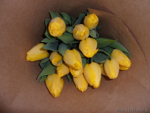 Тюльпаны к 8 марта оптом и розницу - Изображение #5, Объявление #1535623