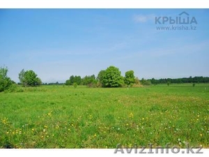 Продам земельный участок 40Га в Тверской области - Изображение #1, Объявление #1559003