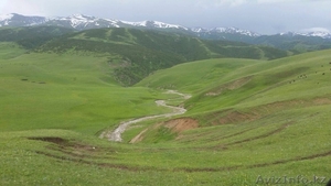туризм казахстана - Изображение #2, Объявление #1568619