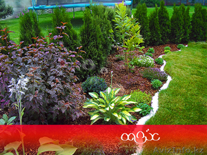 Ландшафтный дизайн, озеленение, уход за садом - Изображение #2, Объявление #1564648
