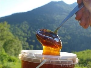 Продаем горный мед оптом в пригороде Алматы (Иссыке),  - Изображение #1, Объявление #1584744