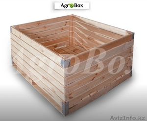 Деревянные контейнеры (ящики для яблок) - Изображение #1, Объявление #1582189