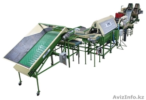 линия мойки, полировки, сортировки, калибровки, фасовки, упаковки овощей