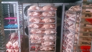 Мясо гуся и утки в Казахстане