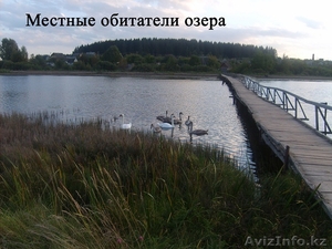 Жилой кирпичный дом на берегу озера. Беларусь - Изображение #9, Объявление #1600466