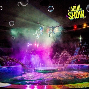  Мы разыграем 100 билетов на выступление красочного Aqua Show - Изображение #1, Объявление #1602315