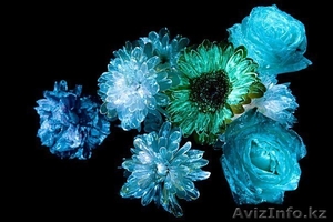 Флористическая краска (био-гель) для цветов светящаяся в темноте - Изображение #3, Объявление #1600590