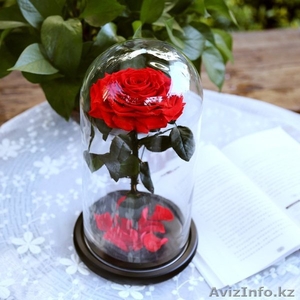 Вечные розы в колбах - Изображение #1, Объявление #1622633
