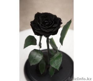 Вечные розы в колбах - Изображение #5, Объявление #1622633