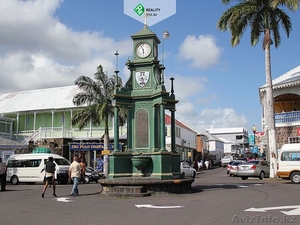 Второе Гражданство Сент-Китс и Невис - Изображение #2, Объявление #1631814