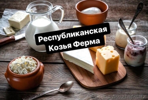 Козье молоко в Алматы, сыр, йогурт - Изображение #1, Объявление #1637909