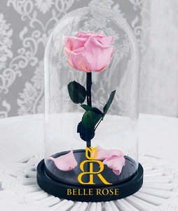 Живая Роза в стеклянной колбе - Бесплатная Доставка - Изображение #4, Объявление #1649066