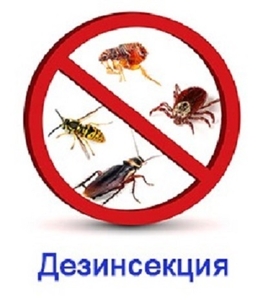  Уничтожения насекомых Дезинсекция - Изображение #1, Объявление #1649140