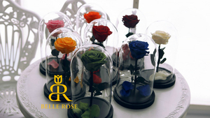 Живая Роза в стеклянной колбе - Бесплатная Доставка - Изображение #3, Объявление #1649066