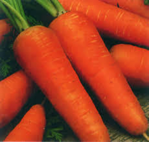 Семена сортовой моркови Курода Новая - Изображение #1, Объявление #1652628