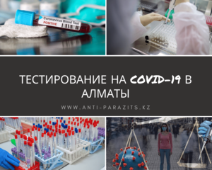 Сдать тест на короновирус в Алматы - Изображение #1, Объявление #1687014