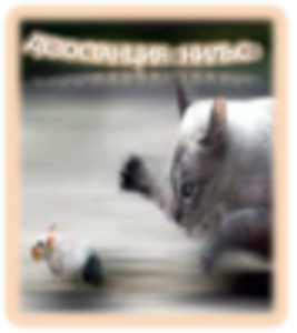 Борьба и уничтожение мышей в Алматы и Алматинской области - Изображение #2, Объявление #1131157