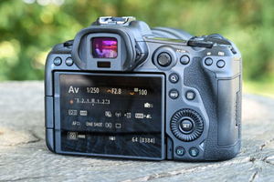 Новая беззеркальная камера Canon eos r5 45.0mp - Изображение #5, Объявление #1692904