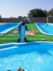 Фонтан для бассейна в форме дельфина  - Изображение #7, Объявление #1450424