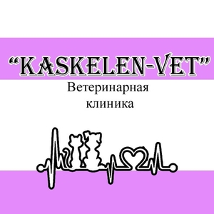 Ветеринарная клиника "KASKELEN - VET" в городе Каскелен.  - Изображение #1, Объявление #1690319
