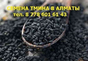 Продаем семена черного тмина, семена льна, тел. +77786016143 - Изображение #1, Объявление #1695192