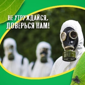 Уничтожение насекомых в городе Алматы - Изображение #2, Объявление #1700712