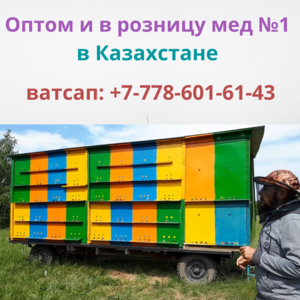 Самый качественный мед в Казахстане, от Исмаила, ватсап: +77786016143 - Изображение #2, Объявление #1703290