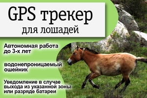 GPS трекер маяк в Казахстане. - Изображение #2, Объявление #1713161