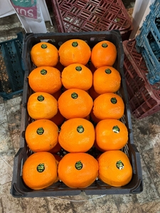 Апельсины из Ирана  - Изображение #1, Объявление #1724256