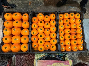 Апельсины из Ирана  - Изображение #5, Объявление #1724256