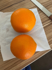 Апельсин Апельсины  - Изображение #1, Объявление #1724454