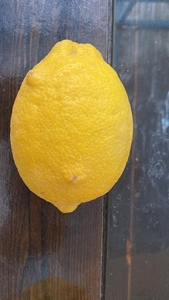 Лимоны - Изображение #1, Объявление #1724444