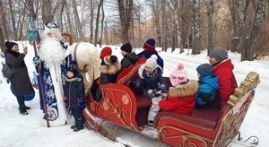 катание на санях, запряженные  белой лошадью – зимнее развлечение для детей и вз - Изображение #4, Объявление #1527729