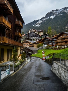 Швейцарияға виза | Evisa Travel - Изображение #4, Объявление #1742950