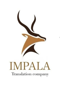 Английский - Китайский - Казахский язык #1749045