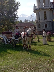 Аренда кареты для мероприятий  #1750542