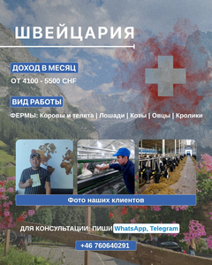 Pабота на фeрме в Швейцарии #1751953