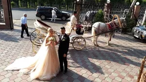 Карета,  свадебная карета #1752517