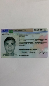 Хотите оформить/обменять водительские документы в ЕС официально? #1752839