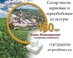 Сахар-песок,  зерновые и зернобобовые культуры от Елань-Коленовский СЗ #1753817